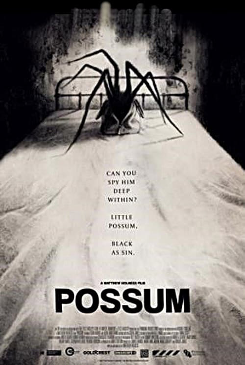 Possum Poster